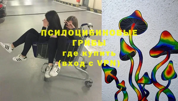стафф Белокуриха