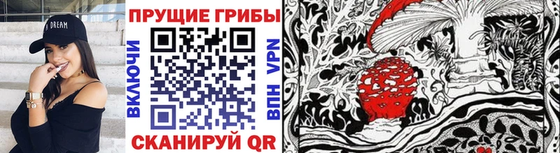 Псилоцибиновые грибы Psilocybe  Болотное 
